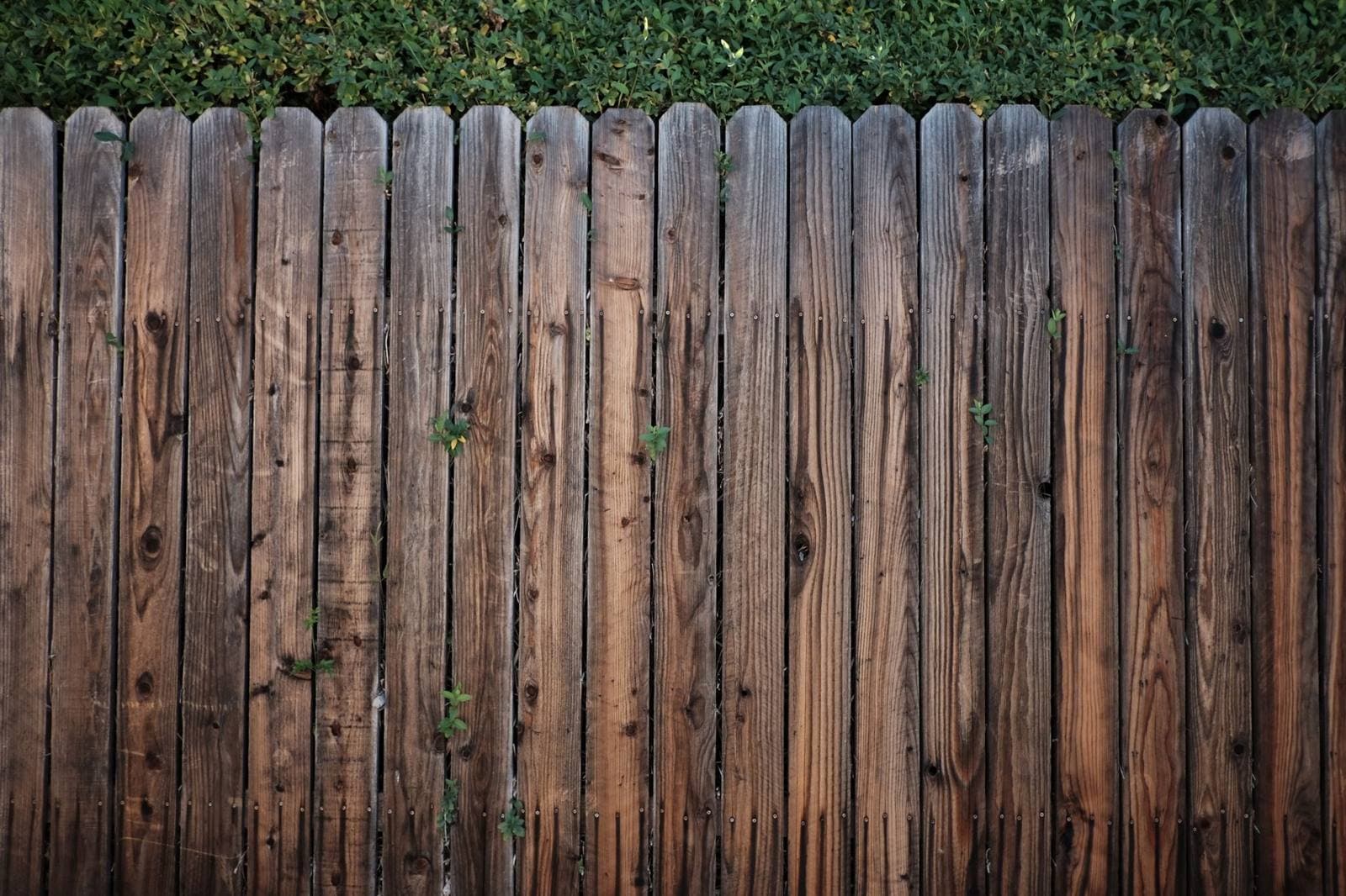 Fence replacement